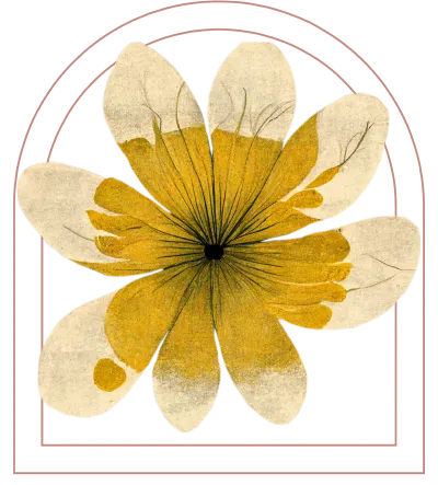 Illustration : Workshops and programmes