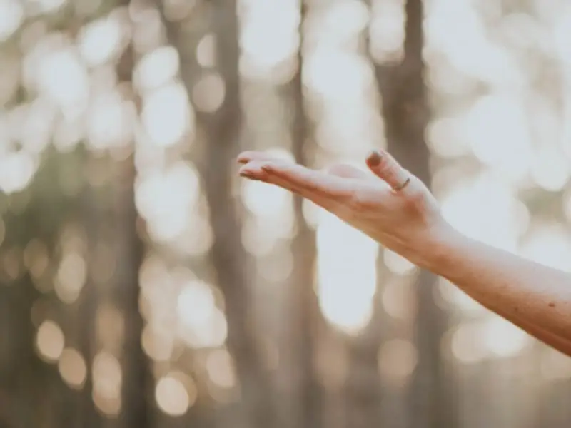 psychologue en visio emdr