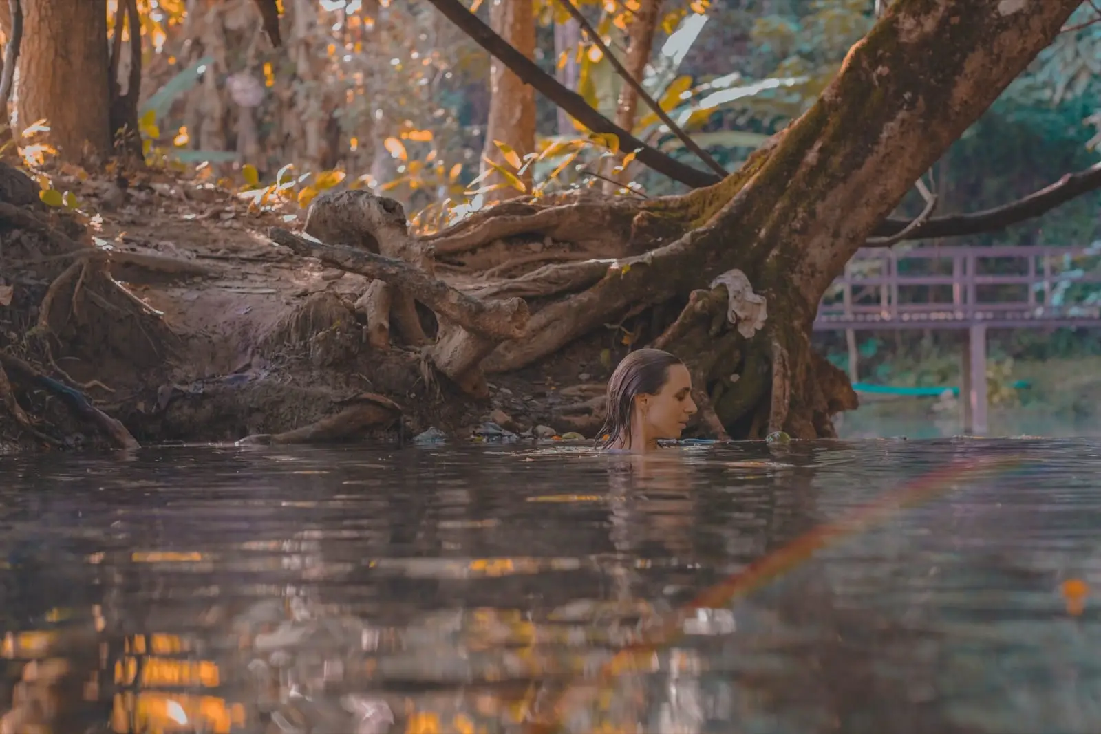 Galerie photothérapie — moment d’introspection